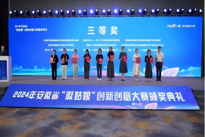 公司榮獲2024年安徽省“徽姑娘”創(chuàng)新創(chuàng)意大賽三等獎(jiǎng)